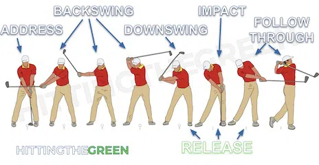 Annotated Illustration of the Sequence and Phases of a Golf Swing and Where the Release Occurs